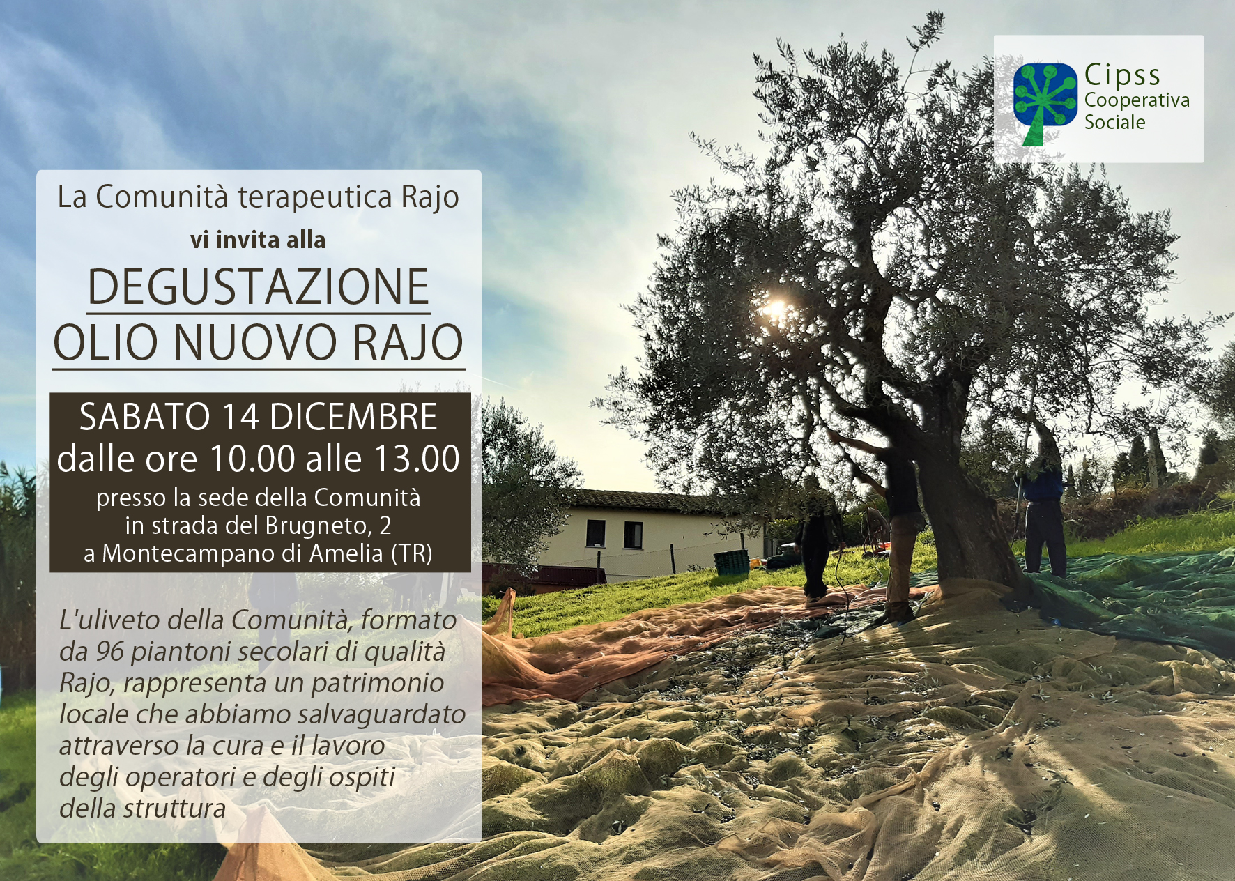 Degustazione olio nuovo Rajo – 14/12/2019