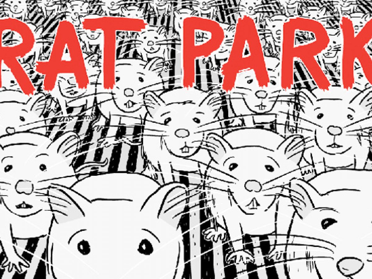 Rat Park: le dipendenze e la socialità