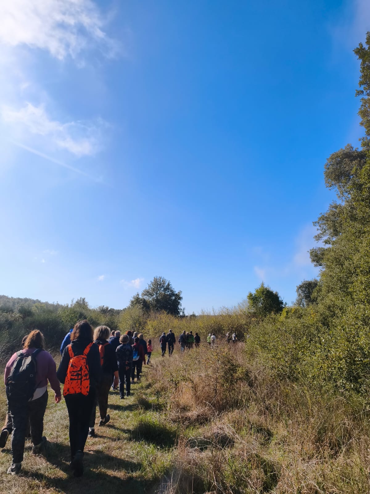 Grazie a tutti i partecipanti all’evento dell’11 ottobre “Sulle orme di Basaglia – 2°ed.”